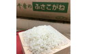 【ふるさと納税】勝浦産ふさこがね(24kg×1袋)