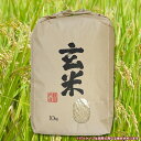 【ふるさと納税】◇令和元年 千葉県産「コシヒカリ」20kg(...