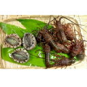 5651-0560【ふるさと納税】漁協からの贈り物(伊勢海老...