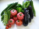 【ふるさと納税】A10-3 栄町産新鮮・季節の野菜詰合せ