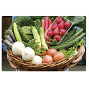 【ふるさと納税】【平塚よりお届け】湘南産 地場野菜・フルーツ 詰合せ 【果物・詰合せ・セット・フルーツ・野菜】