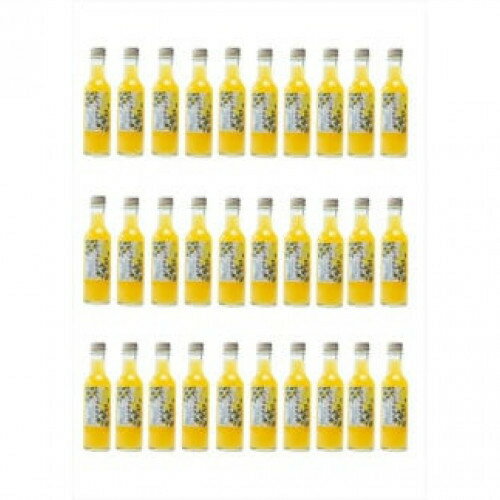 【ふるさと納税】定期便12回 小田原産江之浦あなまつスパークリング果汁入り飲料果汁50％200ml30本【 神奈川県 小田原市 】