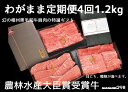 【ふるさと納税】わがまま定期便 幻の相州黒毛和牛肩肉 1....