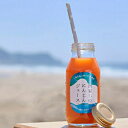 【ふるさと納税】1-137海育ちのにんじんジュース180ml×6本入り【贈答用箱】