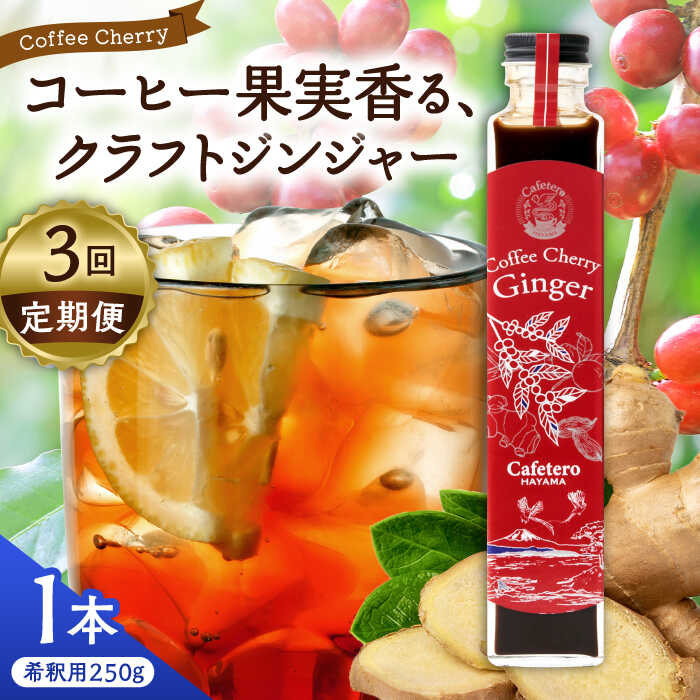 【ふるさと納税】【全3回定期便】カフェテーロ葉山 チェリージンジャー 250g×1本 / ジュース 飲料 ジンジャー チェリー 250ml 葉山町【合同会社エンディレクト】[ASBM010]