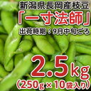 【ふるさと納税】Z8-015新潟県長岡産枝豆2.5kg【一寸...