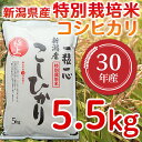 【ふるさと納税】1-411【H30年産】新潟県長岡産特別栽培...