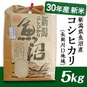 【ふるさと納税】1-422【H30年産】新潟県魚沼産(長岡川...