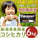 【ふるさと納税】1-426【H30年産】新潟県長岡産コシヒカ...