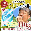 【ふるさと納税】1H-065【H30年産】新潟県長岡産こしい...