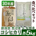【ふるさと納税】2-062【H30年産】新潟県魚沼産(長岡川...