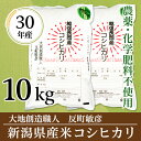 【ふるさと納税】2-068新潟県産米コシヒカリ10kg(H3...
