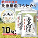 【ふるさと納税】H10-1【H30年産】北魚沼産コシヒカリ特...