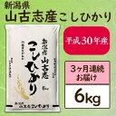 【ふるさと納税】<定期便>3-048【3ヶ月連続お届け】新潟...
