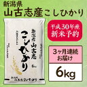 【ふるさと納税】3-048【3ヶ月連続お届け】新潟県長岡産コ...