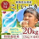 【ふるさと納税】3-049【H30年産】新潟県長岡産こしいぶ...