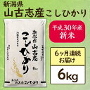 【ふるさと納税】<定...