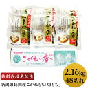 【ふるさと納税】1-451新潟県長岡産こがねもち「切もち」2...