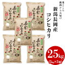 【ふるさと納税】73-251新潟長岡産コシヒカリ25kg(5...
