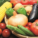 【ふるさと納税】C31 季節の野菜おすすめセット