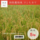 【ふるさと納税】新潟 特別栽培米 新米 コシヒカリ 「池田さ...