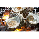 【ふるさと納税】活さざえ(15個入り) 【魚貝類/サザエ・シ...