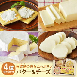 【ふるさと納税】チーズ & バター 詰め合わせ 4種 計500g | セット ギフト 有塩 おつまみ ワインに合う モッツァレラチーズ クリームチーズ カマンベールチーズ 食べ比べ 食品 乳製品 お取り寄せ グルメ 新潟 人気 おすすめ レビュー 高評価