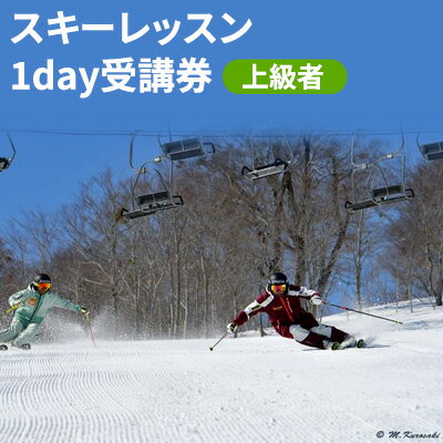 スキーレッスン1day受講券〜上級者〜　【スキーチケット】