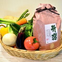 【ふるさと納税】聖籠産有機米・季節野菜セット