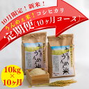【ふるさと納税】【10月限定販売!新米が毎月届く定期便】阿賀...