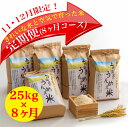 【ふるさと納税】上川温泉のうんめえ米 5kg入り×5袋 定期便8回 【11月12月申込限定品・美味しいお米を毎月お届け】