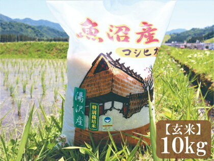 令和4年産新米予約 新潟県特別栽培米認定！ 味とツヤにこだわった「秀田米」 玄米10kg 【湯沢産コシヒカリ】