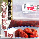 【ふるさと納税】越中伝統梅干し 氷見稲積梅(1kg) 【発酵...