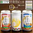 【ふるさと納税】宇奈月ビール12缶セット(十字峡、トロッコ、ぷれみあむ 350ml×各4本/計12本) / 富山県 黒部市