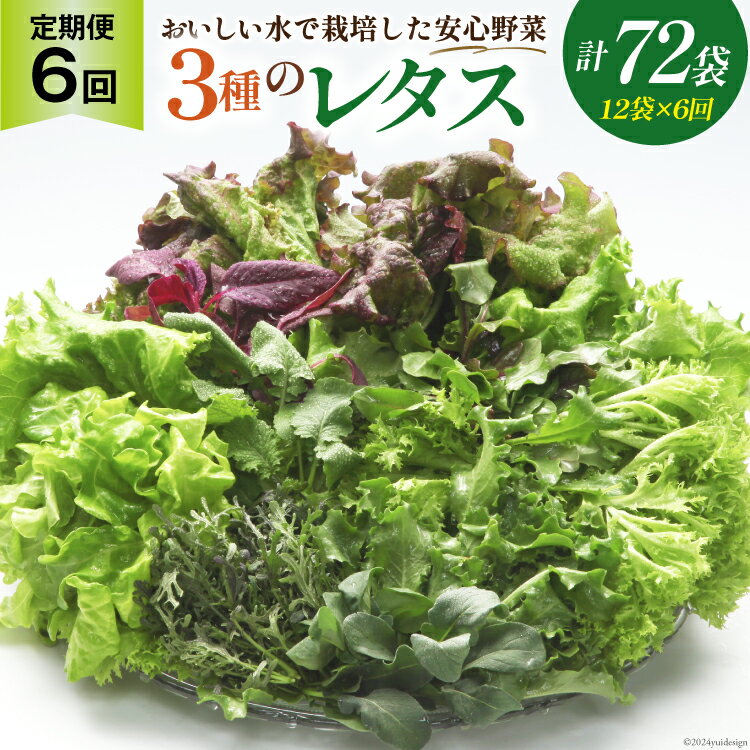 【ふるさと納税】【6回<strong>定期</strong>便】富山のおいしい水で生産した安心野菜（<strong>12</strong>袋）[北陸機材 富山県 舟橋村 57050148] 野菜 野菜セット フラワーリーフ フリル<strong>レタス</strong> マルチ<strong>レタス</strong> 水耕栽培 <strong>定期</strong>便