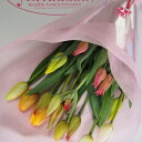 【ふるさと納税】チューリップ切り花 20本 【花・花束】 お届け:2020年1月6日~2020年3月31日