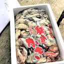 【ふるさと納税】能登かき むき身(約1kg)※かならず加熱し...