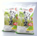 【ふるさと納税】産地限定コシヒカリ1等米「わかばの里」10k...
