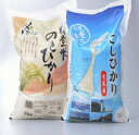 【ふるさと納税】七尾産こしひかり5kgと能登米のとひかり5k...