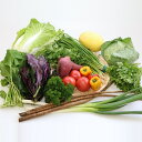 【ふるさと納税】直売所直送 季節の野菜の詰合せ
