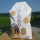 【ふるさと納税】七尾産こしひかり 玄米10kg※10月より順...