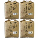 【ふるさと納税】能登産コシヒカリ 能登夢米12kg(玄米3k...