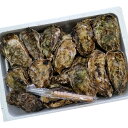 【ふるさと納税】能登かき/殻付き・加熱用・発砲スチロール入[...