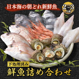 【<strong>ふるさと納税</strong>】魚介類 鮮魚 / 能登の朝どれ「いきいき七尾魚」鮮魚詰め合わせ（2〜3人前）　※北海道・青森・沖縄・離島及び九州（福岡県を除く）配送に2日以上かかる地域へのお届け不可