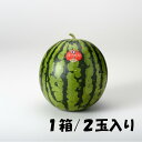 6月30日(木)まで受付【ふるさと納税】大崎すいか 1箱