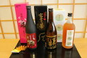 【ふるさと納税】能登の梅酒と焼酎セット