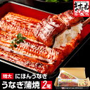 【ふるさと納税】【職人手焼き】にほんうなぎ蒲焼き180g×2...