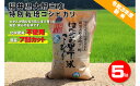 【ふるさと納税】ホタルと共生し安全・安心のホタルの里丁米コシ...