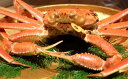 【ふるさと納税】福井★冬の味覚王『産地直送!越前がに 1杯』...