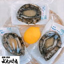 【ふるさと納税】若狭湾の天然黒アワビ 約500g【冷凍・加熱用】【1230874】